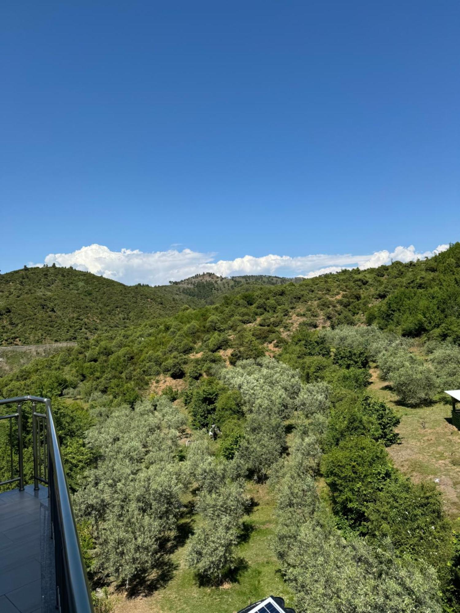 Qyteza Guest House & Camping Shkodër 外观 照片