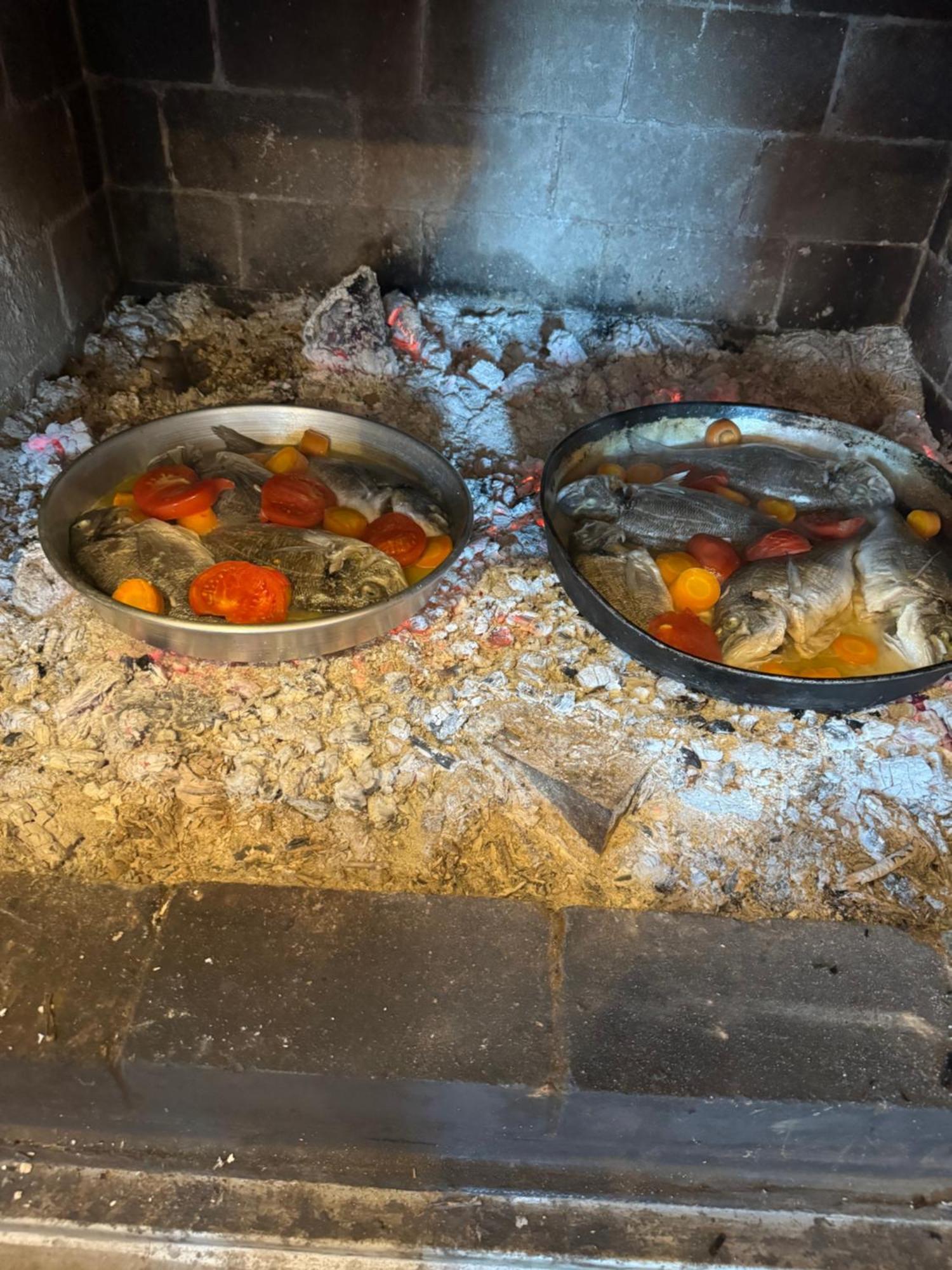 Qyteza Guest House & Camping Shkodër 外观 照片