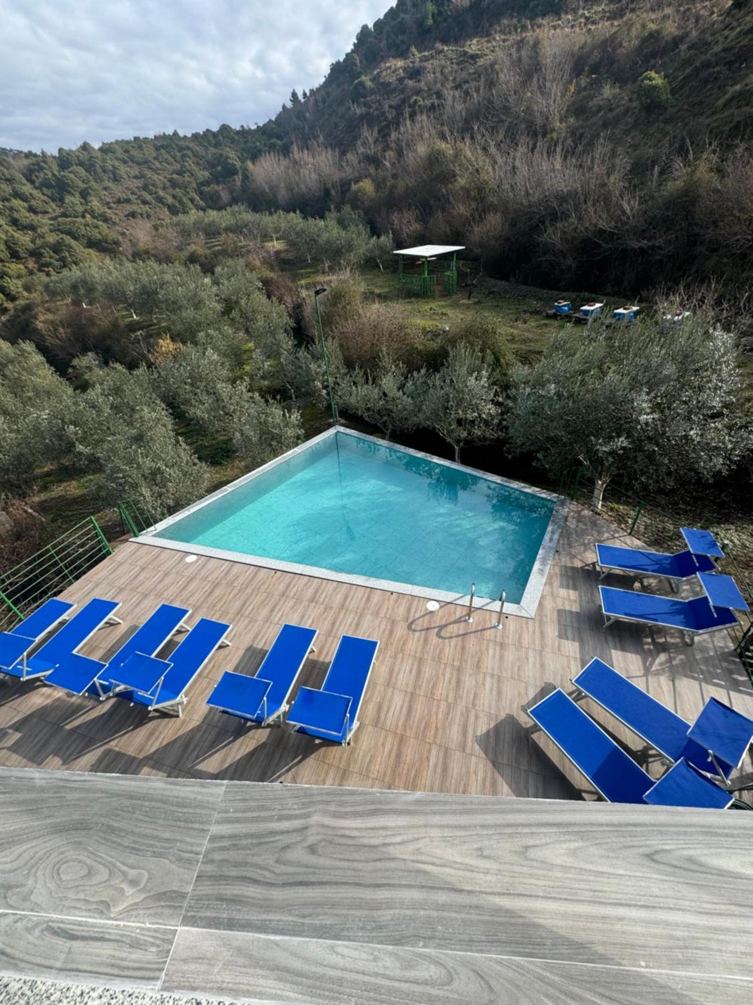 Qyteza Guest House & Camping Shkodër 外观 照片
